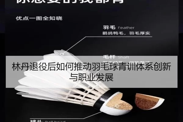 林丹退役后如何推动羽毛球青训体系创新与职业发展